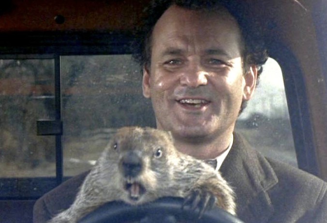groundhog-day